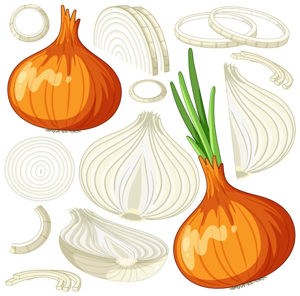 Illustration of whole and sliced onions with vibrant green stems. The orange-brown onions contrast with white inner layers, conveying freshness.